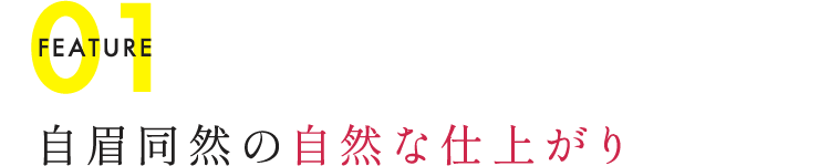 FEATURE01 自眉同然の自然な仕上がり