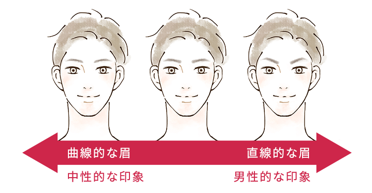 曲線的な眉中性的な印象 直線的な眉男性的な印象